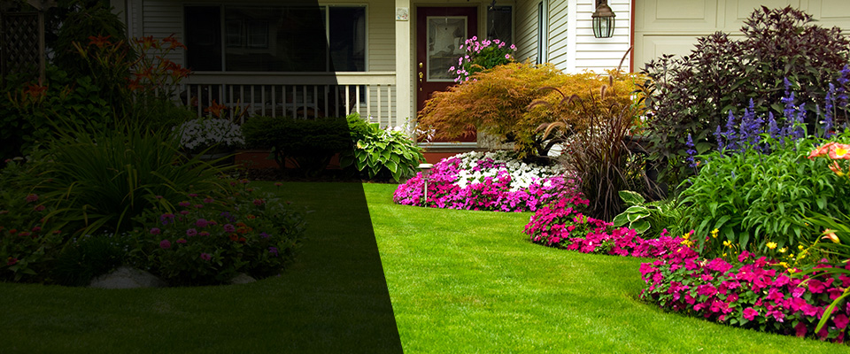 Bedford Landscapers